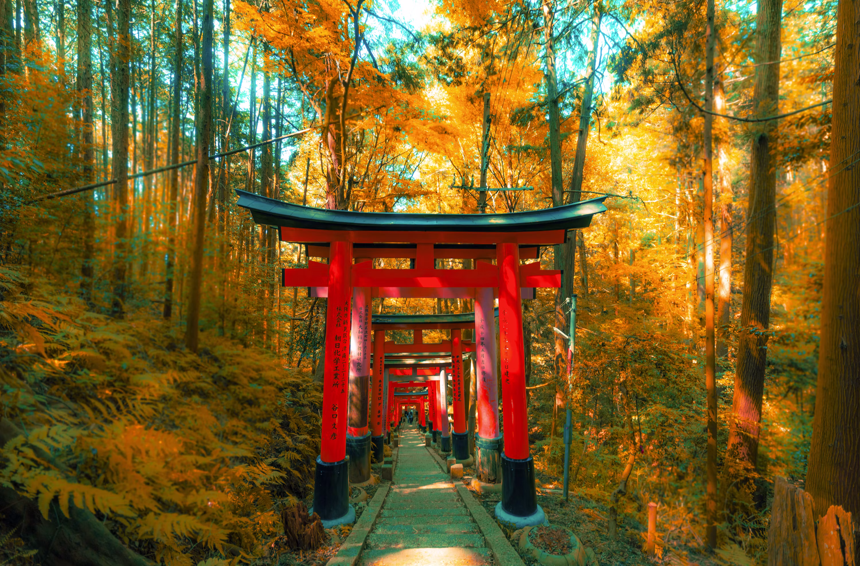 Fushimi Inari in autumn.avif