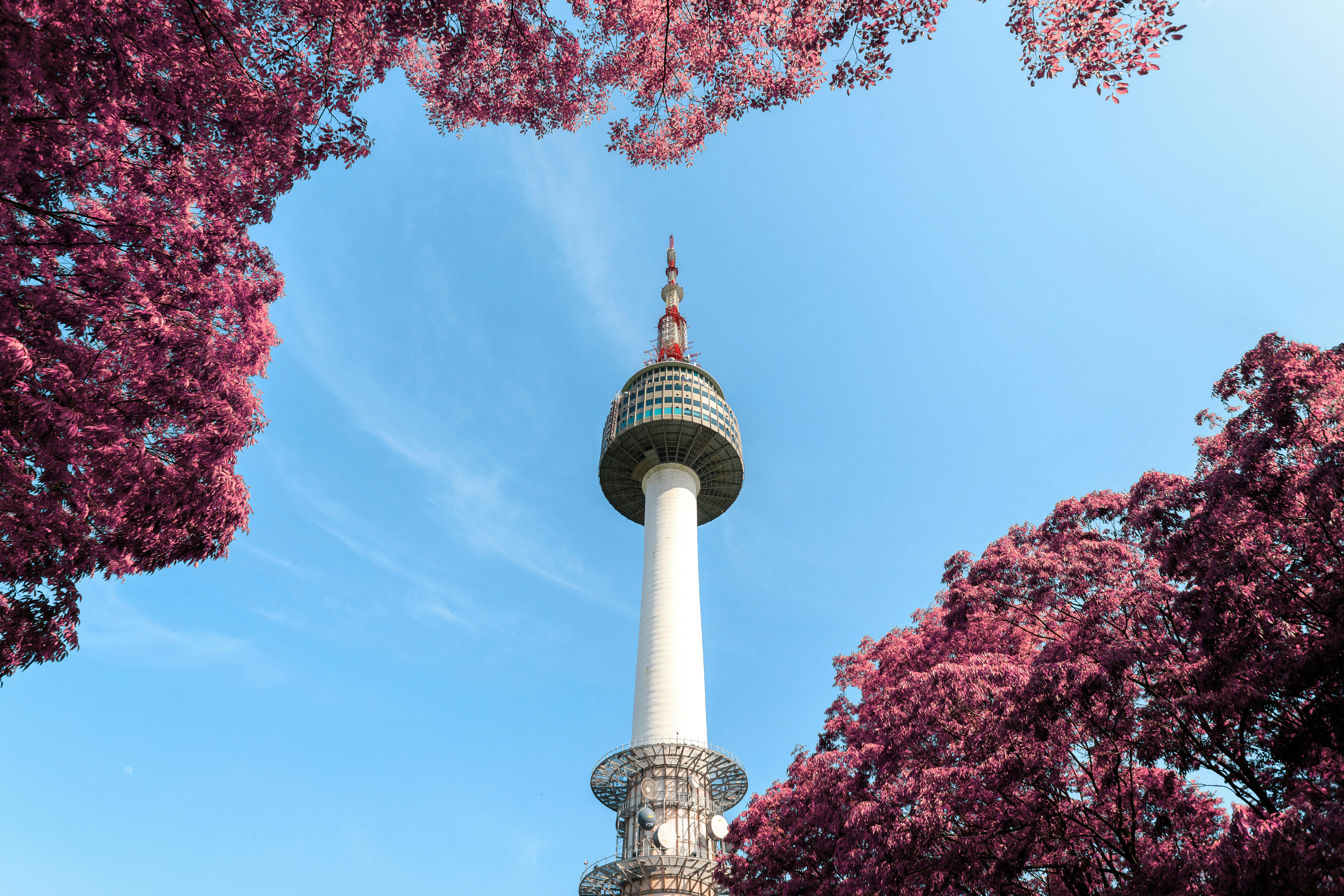 N Seoul Tower perched atop Namsan Mountain with panoramic views over Seoul city