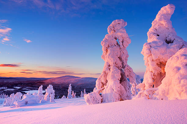 Beyond the Brochures: A Local’s Winter Guide to Kittilä, Levi & Finnish Lapland