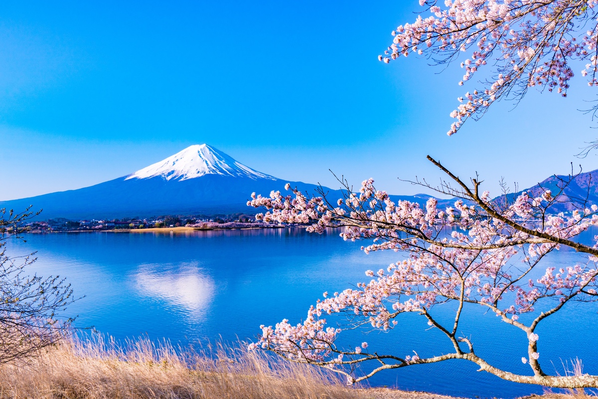 lake kawaguchi japan.jpg
