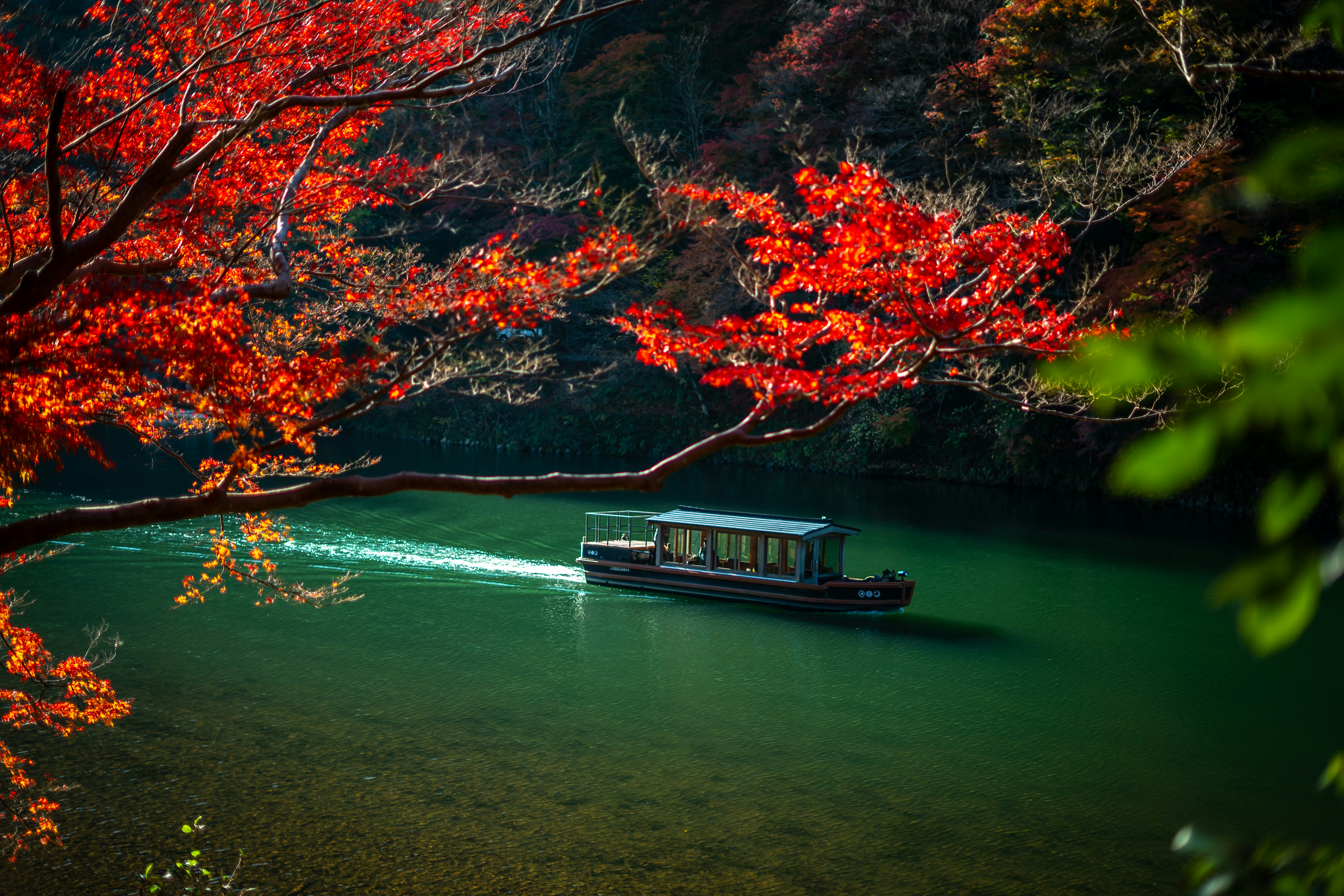 Beautiful autumn colors in Kyoto, Japan