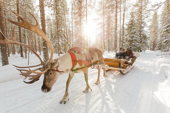 Santa's Official Husky & Reindeer Adventure - Rovaniemi Family Tour