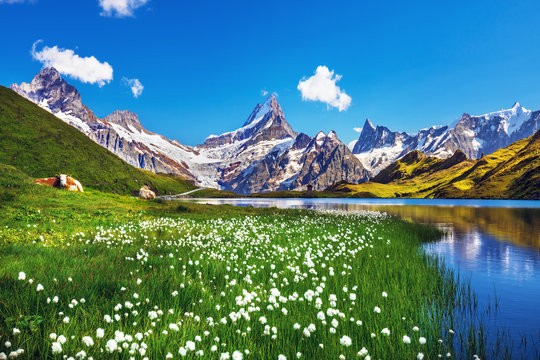 switzerland image.jpg