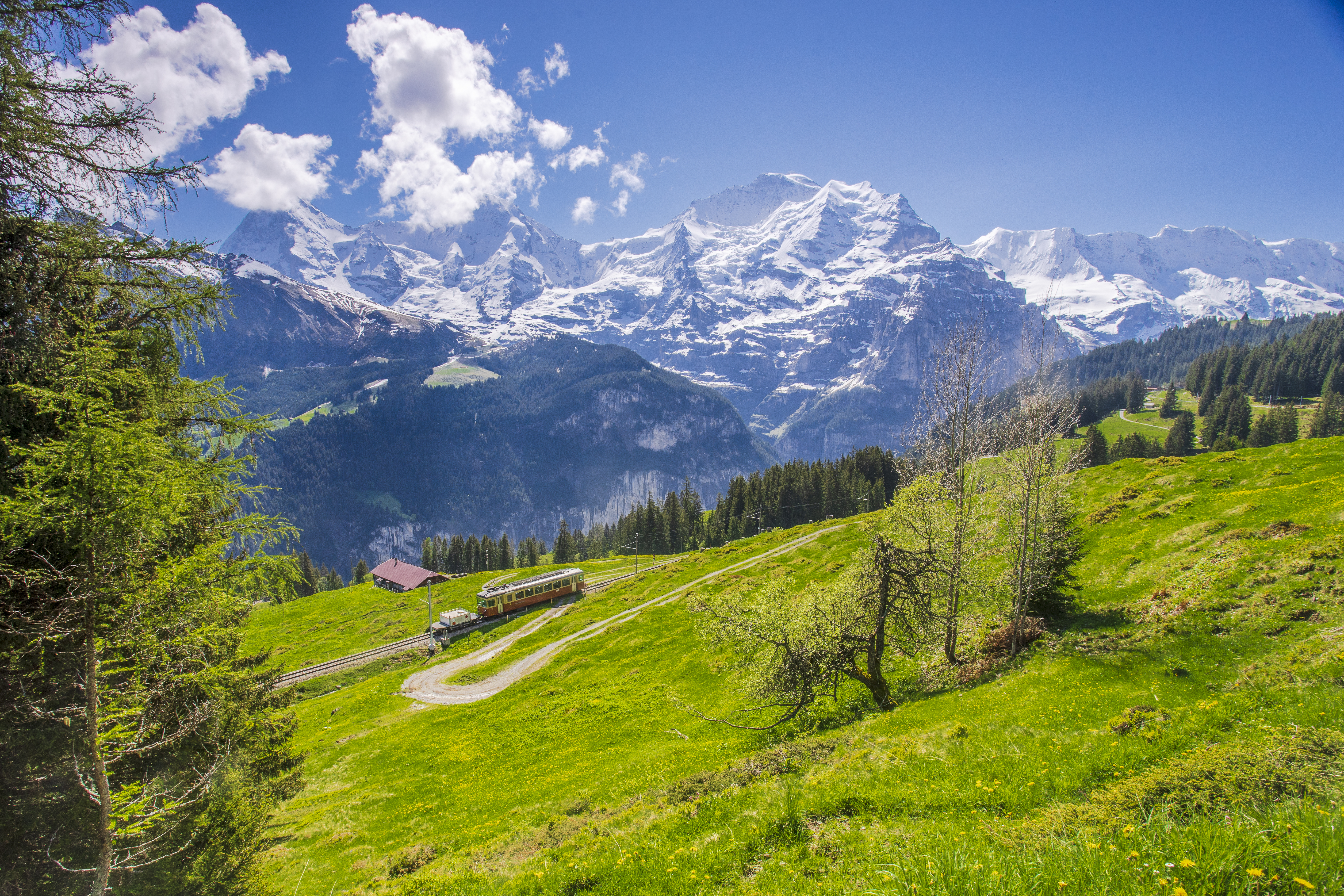 beautiful_swiss_alps_